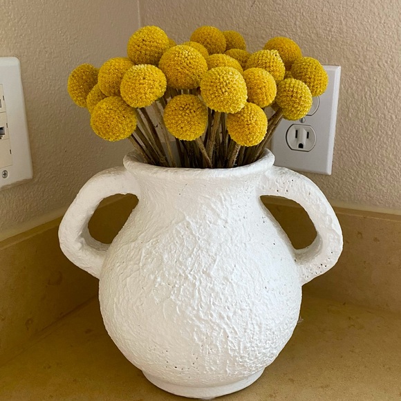 10 STEMS Dried Flowers Billy Balls - Craspedia Flowers - Picture 12 of 13